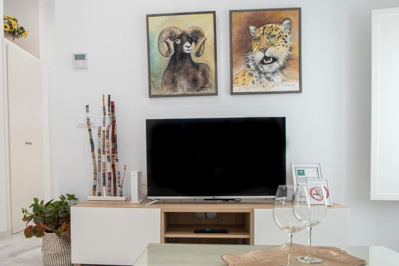 Apartamento Animalia Cadiz Exterior photo