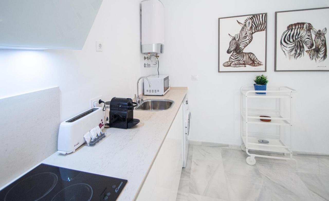 Apartamento Animalia Cadiz Exterior photo