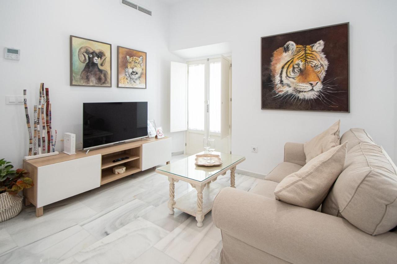 Apartamento Animalia Cadiz Exterior photo